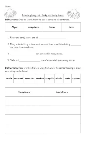 Rocky And Sandy Shores