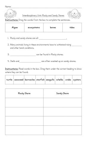 Rocky And Sandy Shores