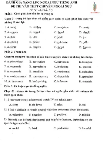 Đề thi đánh giá năng lực ngoại ngữ Tiếng Anh vào lớp 10 Chuyên ngoại ngữ - Số 14.1