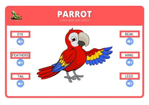 Parrot body parts