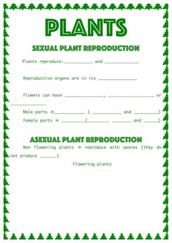 Plant reproduction