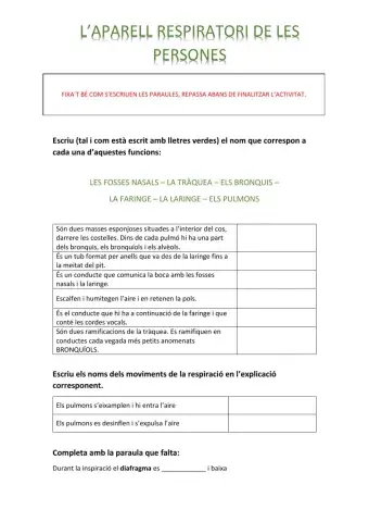 L'aparell respiratori de les persones