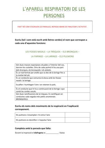 L'aparell respiratori de les persones