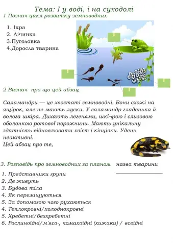 У воді , і на суходолі
