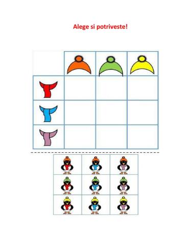 Obiecte de imbracaminte