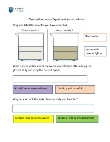 Water pollution - Experiment observation sheet
