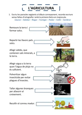 Vocabulari agricultura