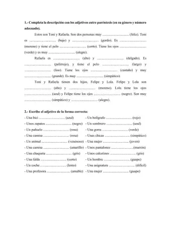 Concordancia: género y número.