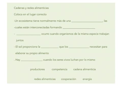 Cadenas y redes alimenticias