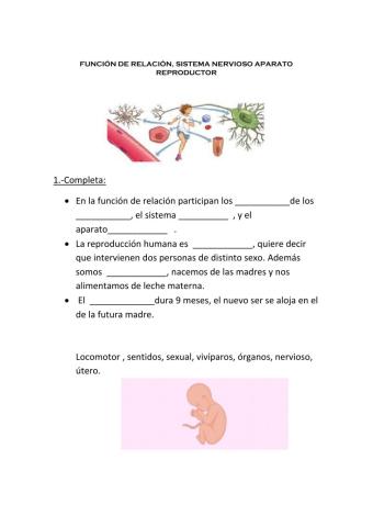 Función de relación