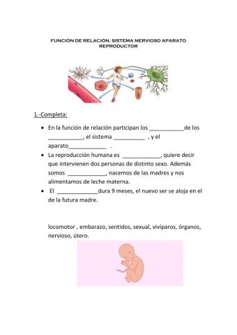 Función de relación