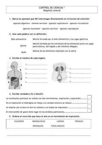 Aparatos cuerpo humano