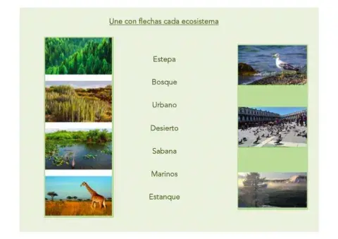 Tipos de ecosistemas