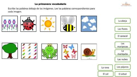 La primavera vocabulario
