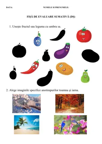 Evaluare sumativa DȘ