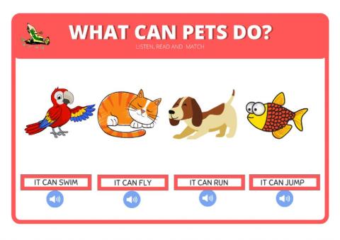 What can pets do?
