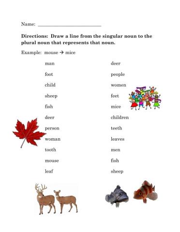 Irregular Plural Nouns