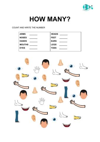 Parts of the body- how many?