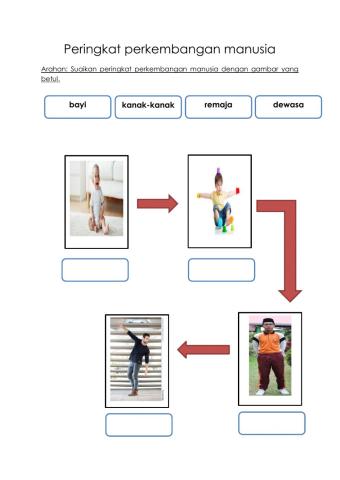 Peringkat Tumbesaran Manusia