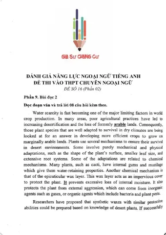 Đề thi đánh giá năng lực ngoại ngữ Tiếng Anh vào lớp 10 Chuyên ngoại ngữ - Số 16.2