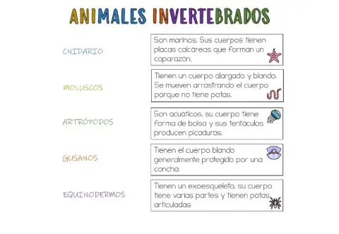 Animales invertebrados