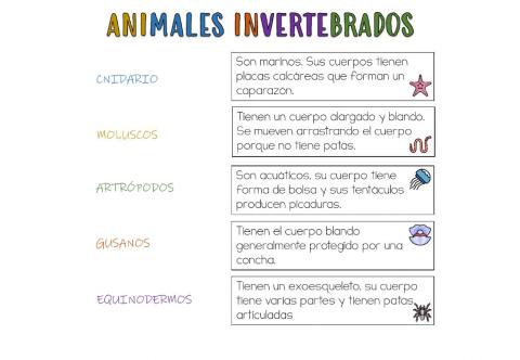 Animales invertebrados