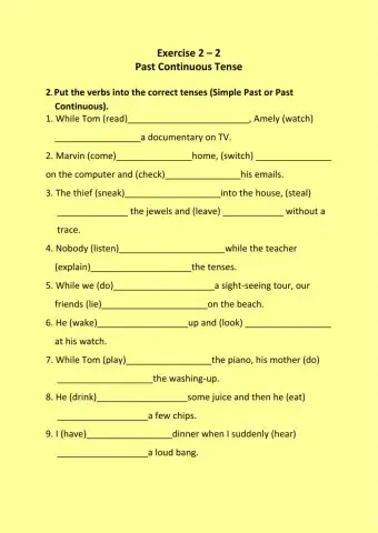 Exercise 2.2 Past Continuous