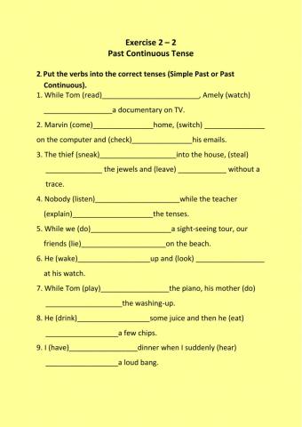 Exercise 2.2 Past Continuous
