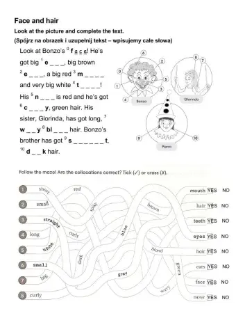 EC A1 Unit 3 Body parts