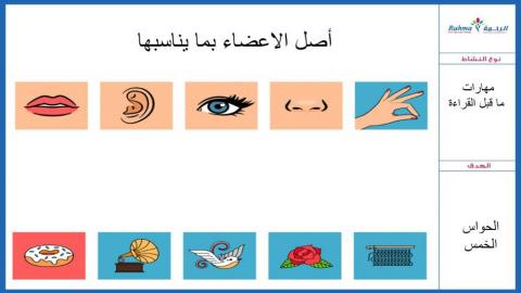 الحواس الخمس