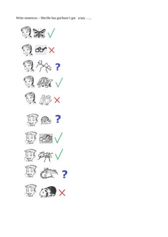 She's got - she hasn't got