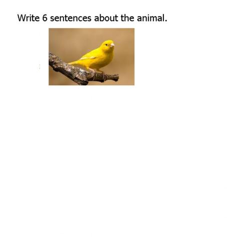 Canary writing