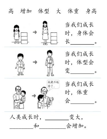 二年级科学人类的成长