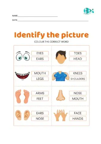 Identify the picture