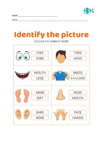 Identify the picture