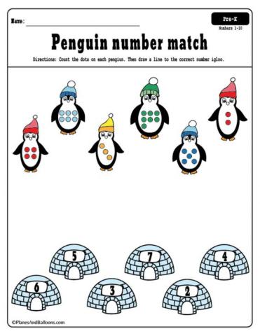 Adunam pinguini