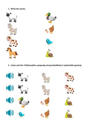 Animals and comparatives