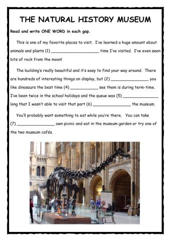 Natural History Museum Reader