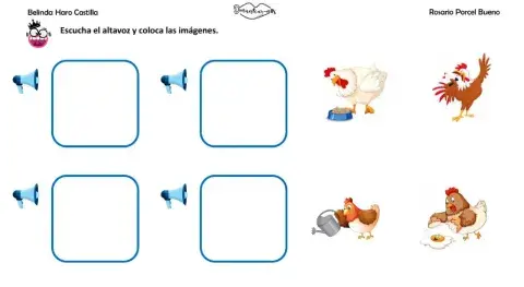 Frases: las gallinas