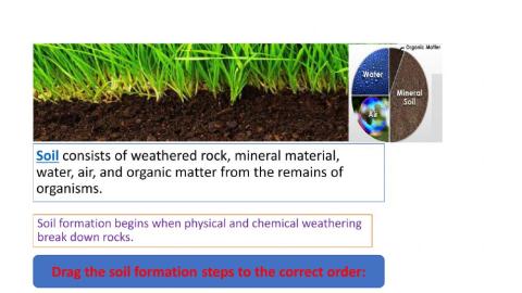 Soil formation