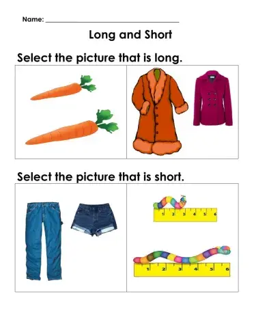 Maths Concepts: Long and Short
