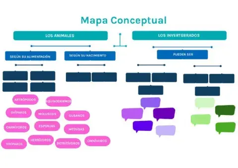 Mapa conceptual repaso animales invertebrados