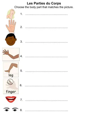 Les Parties du Corps