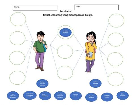 Pendidikan Kesihatan Tahun 4: Zaman Remaja