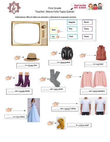 Demonstrative adjectives
