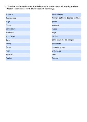 Kiwi - Activities 1.2