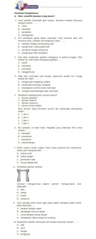 Gerakan Dominan dalam Senam Lantai