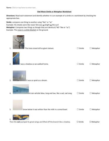 Owl Moon Simile or Metaphor Worksheet