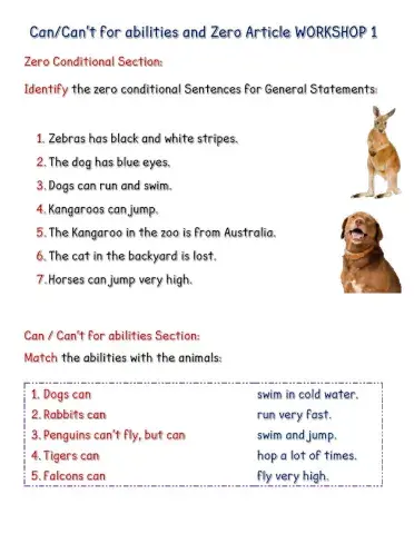 Workshop 1 Can-Can't