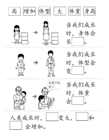 二年级科学人类的成长